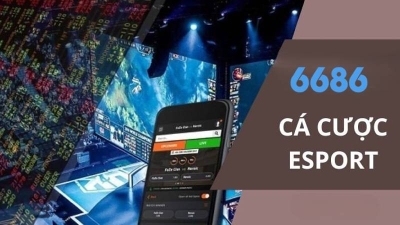 Nhà cái 6686 - Cá cược esports uy tín và an toàn nhất