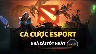 Cá cược esports Vnbet - Trải nghiệm chất lượng, tỷ lệ thắng cao